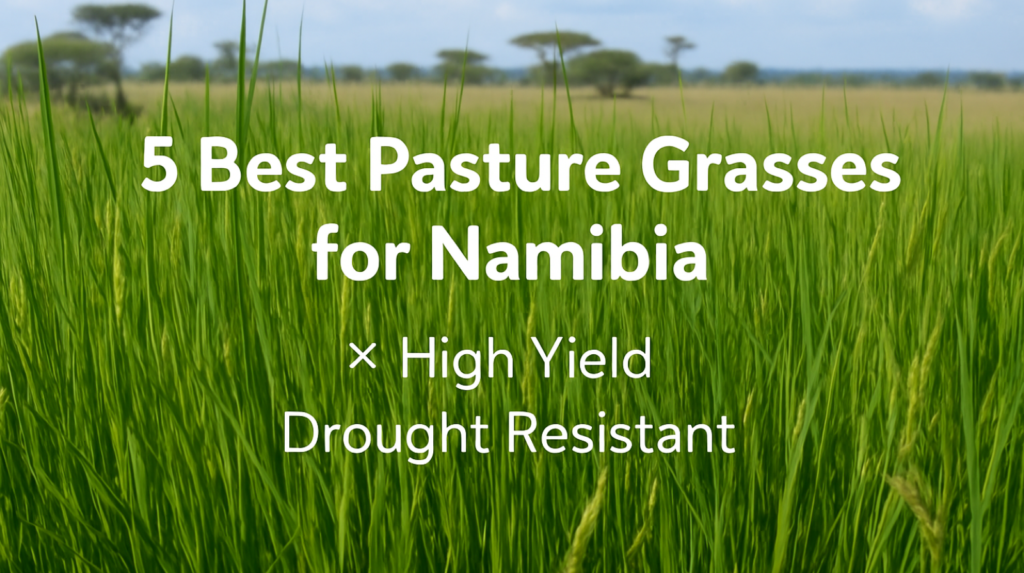 Best Pasture Grass